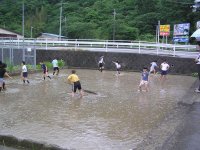 中川小しろかき