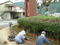 花植え作業