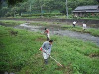 岩科川清掃