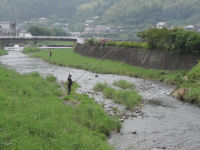 鮎釣り