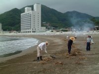 松崎海岸清掃