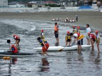 海活動 海活動