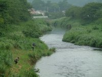 那賀川鮎釣り