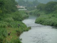 那賀川鮎釣り 那賀川鮎釣り