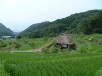 石部棚田 石部棚田