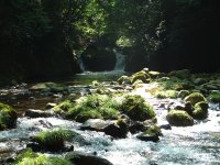 岩科川上流