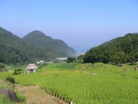 石部棚田 石部棚田