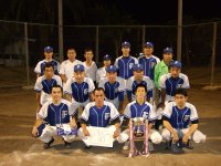 地区対抗野球大会 地区対抗野球大会