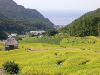 石部棚田 石部棚田