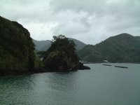 外部海岸 外部海岸