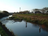 那賀川 那賀川