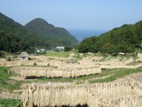 石部棚田 石部棚田