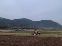 那賀大規模花畑 那賀大規模花畑