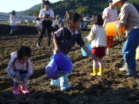 那賀大規模花畑種まき