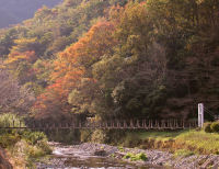 松崎の紅葉