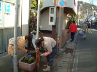 花の会花植え作業