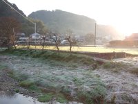 岩科川霜 岩科川霜
