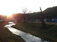岩科川 岩科川