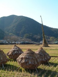 歳の神 歳の神