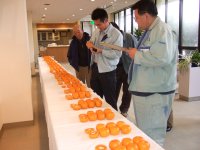 ポンカン品評会 ポンカン品評会