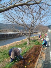 中村地区アダプトロード