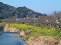 那賀川土手 那賀川土手