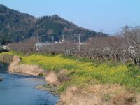 那賀川土手