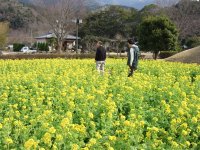 道の駅花の三聖苑 道の駅花の三聖苑