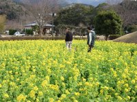 道の駅花の三聖苑