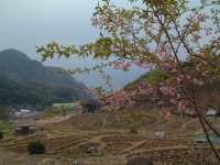 石部棚田 石部棚田