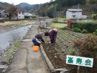 峰老人クラブ峰寿会花壇の植え替え