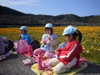 那賀大規模花畑 那賀大規模花畑