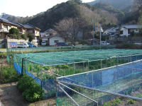 三浦地区の畑 三浦地区の畑