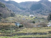 石部棚田 石部棚田