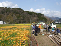 花畑の足湯