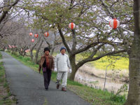 那賀川伏倉土手 那賀川伏倉土手