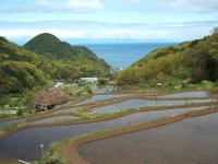 棚田 棚田