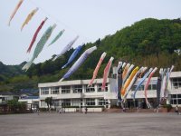 中小こいのぼり 中小こいのぼり