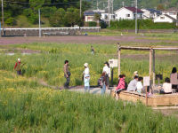 那賀花畑 那賀花畑