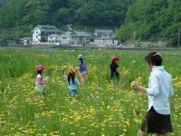那賀花畑 那賀花畑