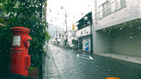 雨の一日です