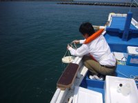 水質検査 水質検査