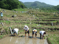 石部棚田「赤根田村百笑の里」で田植え祭りが行われました 石部棚田「赤根田村百笑の里」で田植え祭りが行われました
