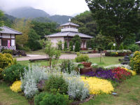 道の駅花の三聖苑のポピー畑 道の駅花の三聖苑のポピー畑