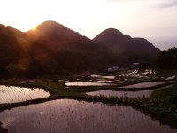 棚田夕景 棚田夕景