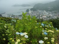 雨の牛原 雨の牛原