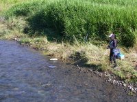 鮎釣り解禁 鮎釣り解禁