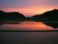 昨日の夕焼け 昨日の夕焼け