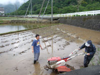松崎町社会福祉協議会で稲作する田の代掻き