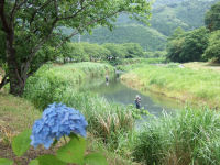 ハヤ釣 ハヤ釣